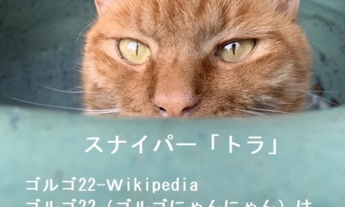 2019年11月25日   #癒し猫