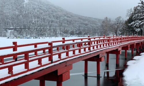 2020年2月27日   #赤城神社