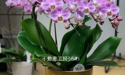 2019年10月13日   #お引っ越しおめでとうございます。