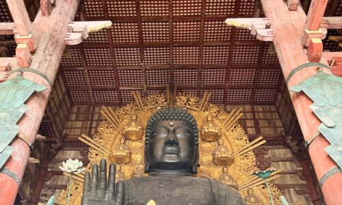 2025年11月28日  #私も奈良派